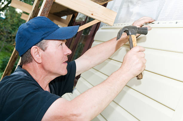 Best Insulated Siding Installation  in Lexington, MO